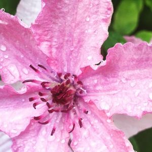 Meet your Posher, Karyn